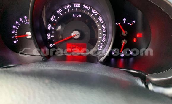 Buy Used Kia Sportage Other Car in Barber in Curacao Buy Used Kia Sportage Other Car in Barber in Curacao