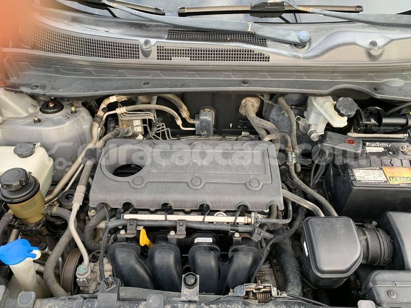 Big with watermark kia sportage curacao barber 3852