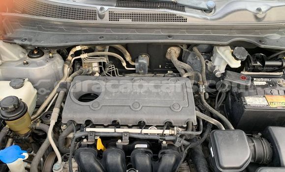 Buy Used Kia Sportage Other Car in Barber in Curacao Buy Used Kia Sportage Other Car in Barber in Curacao