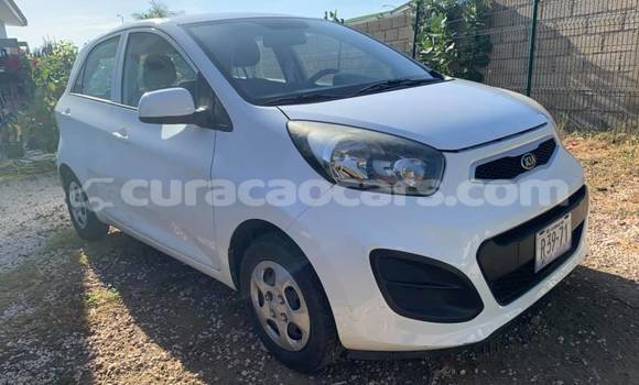 Buy Used Kia Picanto White Car in Barber in Curacao Buy Used Kia Picanto White Car in Barber in Curacao