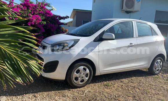 Buy Used Kia Picanto White Car in Barber in Curacao Buy Used Kia Picanto White Car in Barber in Curacao