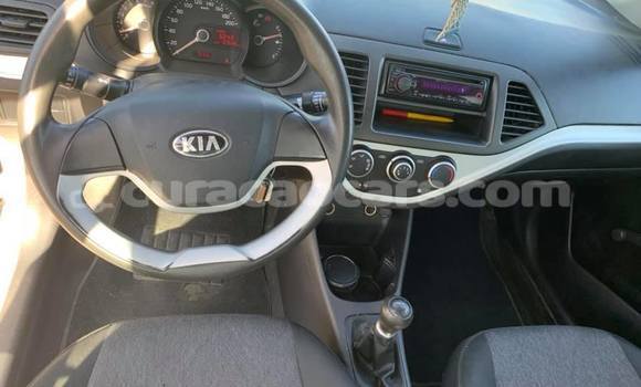 Buy Used Kia Picanto White Car in Barber in Curacao Buy Used Kia Picanto White Car in Barber in Curacao