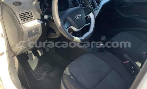 Buy Used Kia Picanto White Car in Barber in Curacao Buy Used Kia Picanto White Car in Barber in Curacao