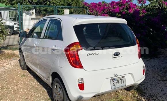 Buy Used Kia Picanto White Car in Barber in Curacao Buy Used Kia Picanto White Car in Barber in Curacao