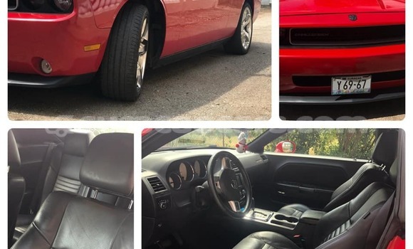 Buy Used Dodge Challenger Red Car in Barber in Curacao
