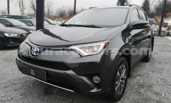 Buy Used Toyota RAV4 Other Car in Barber in Curacao Buy Used Toyota RAV4 Other Car in Barber in Curacao
