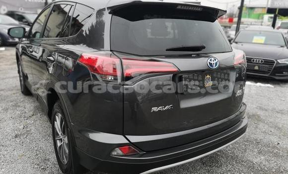 Buy Used Toyota RAV4 Other Car in Barber in Curacao Buy Used Toyota RAV4 Other Car in Barber in Curacao
