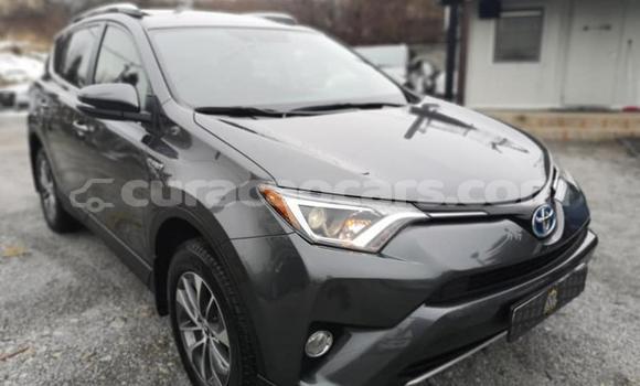 Buy Used Toyota RAV4 Other Car in Barber in Curacao Buy Used Toyota RAV4 Other Car in Barber in Curacao