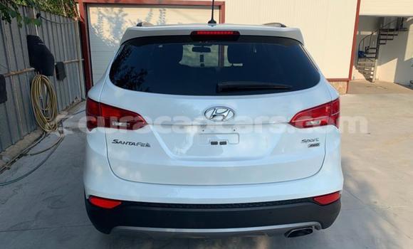 Buy Used Hyundai Santa Fe Other Car in Barber in Curacao Buy Used Hyundai Santa Fe Other Car in Barber in Curacao