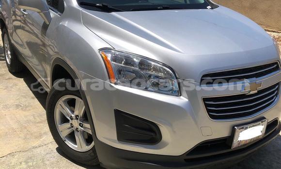 Buy Used Chevrolet Tracker Silver Car in Willemstad in Curacao