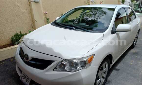 Buy Used Toyota Corolla White Car in Willemstad in Curacao Buy Used Toyota Corolla White Car in Willemstad in Curacao