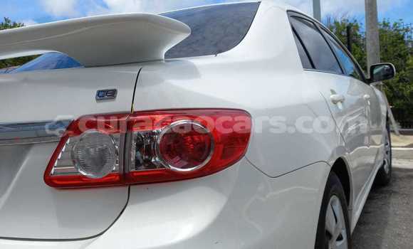 Buy Used Toyota Corolla White Car in Willemstad in Curacao Buy Used Toyota Corolla White Car in Willemstad in Curacao