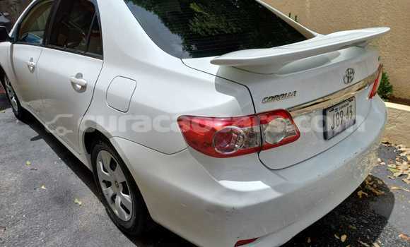 Buy Used Toyota Corolla White Car in Willemstad in Curacao Buy Used Toyota Corolla White Car in Willemstad in Curacao