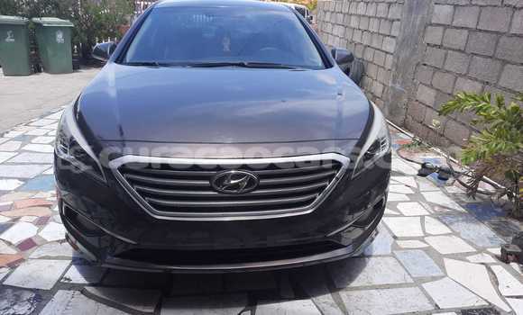 Buy Used Hyundai Sonata Brown Car in Willemstad in Curacao Buy Used Hyundai Sonata Brown Car in Willemstad in Curacao