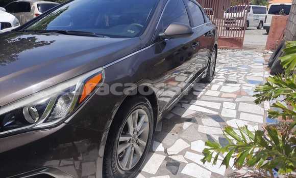 Buy Used Hyundai Sonata Brown Car in Willemstad in Curacao Buy Used Hyundai Sonata Brown Car in Willemstad in Curacao