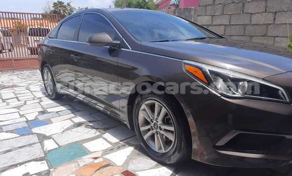 Buy Used Hyundai Sonata Brown Car in Willemstad in Curacao Buy Used Hyundai Sonata Brown Car in Willemstad in Curacao