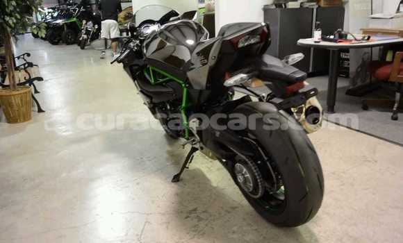 Buy Used Kawasaki Ninja Other Bike in Import - Dubai in Curacao Buy Used Kawasaki Ninja Other Bike in Import - Dubai in Curacao