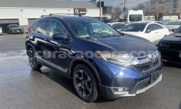 Buy Used Honda CR–V Blue Car in Sabana Westpunt in Curacao