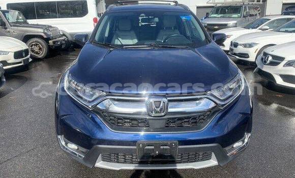 Buy Used Honda CR–V Blue Car in Sabana Westpunt in Curacao Buy Used Honda CR–V Blue Car in Sabana Westpunt in Curacao