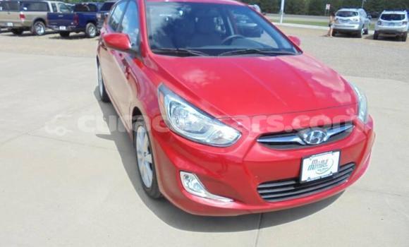 Buy Used Hyundai Accent Red Car in Willemstad in Curacao