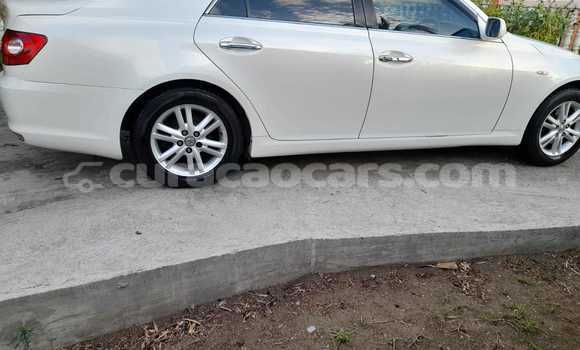 Buy Used Toyota Mark X White Car in Willemstad in Curacao Buy Used Toyota Mark X White Car in Willemstad in Curacao
