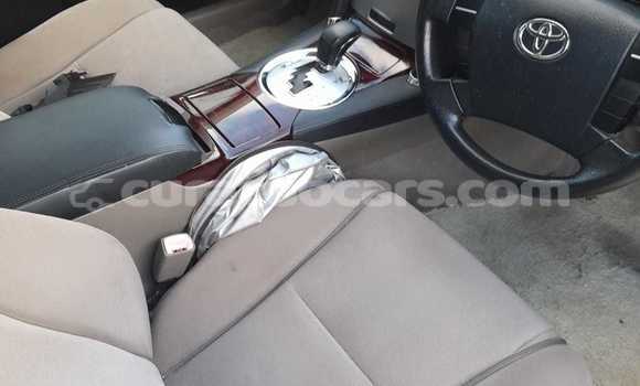 Buy Used Toyota Mark X White Car in Willemstad in Curacao Buy Used Toyota Mark X White Car in Willemstad in Curacao