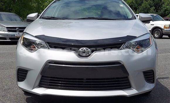 Buy Used Toyota Corolla Silver Car in Willemstad in Curacao Buy Used Toyota Corolla Silver Car in Willemstad in Curacao