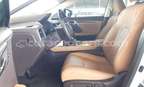 Buy Used Lexus RX 350 White Car in Sabana Westpunt in Curacao Buy Used Lexus RX 350 White Car in Sabana Westpunt in Curacao