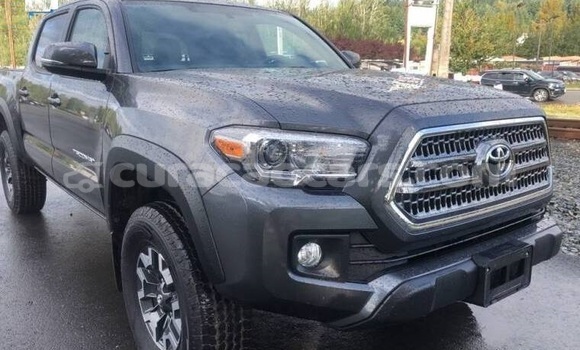 Buy Used Toyota Tacoma Beige Car in Willemstad in Curacao