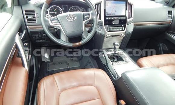 Buy Used Toyota Land Cruiser White Car in Dorp Soto in Curacao Buy Used Toyota Land Cruiser White Car in Dorp Soto in Curacao