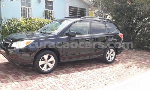 Buy Used Subaru Forester Black Car in Willemstad in Curacao