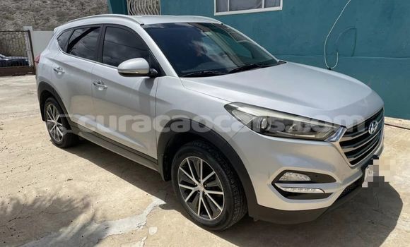 Buy Used Hyundai Tucson Other Car in Sabana Westpunt in Curacao Buy Used Hyundai Tucson Other Car in Sabana Westpunt in Curacao