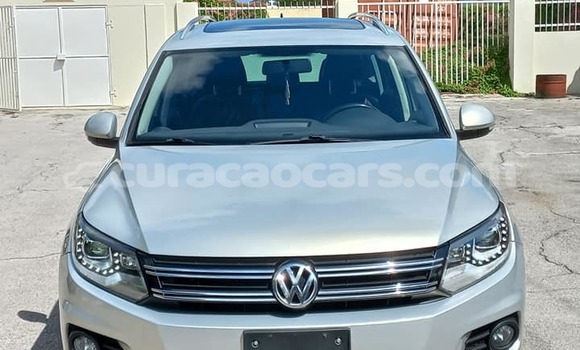Buy Used Volkswagen Tiguan Other Car in Import - Dubai in Curacao