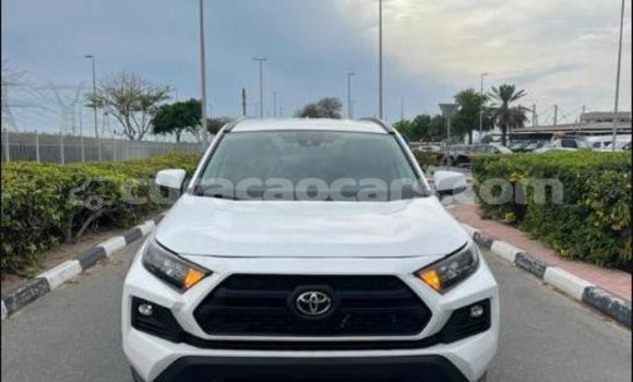 Buy Used Toyota RAV4 White Car in Sint Michiel Liber in Curacao