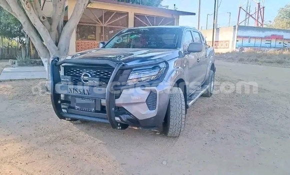 Buy Used Nissan BE-1 Other Car in Lagún in Curacao Buy Used Nissan BE-1 Other Car in Lagún in Curacao