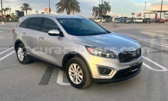Buy Used Kia Cerato Other Car in Sabana Westpunt in Curacao Buy Used Kia Cerato Other Car in Sabana Westpunt in Curacao