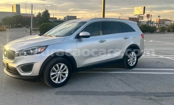 Buy Used Kia Cerato Other Car in Sabana Westpunt in Curacao Buy Used Kia Cerato Other Car in Sabana Westpunt in Curacao