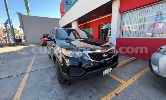 Buy Used Kia Cee'd Other Car in Sint Michiel Liber in Curacao