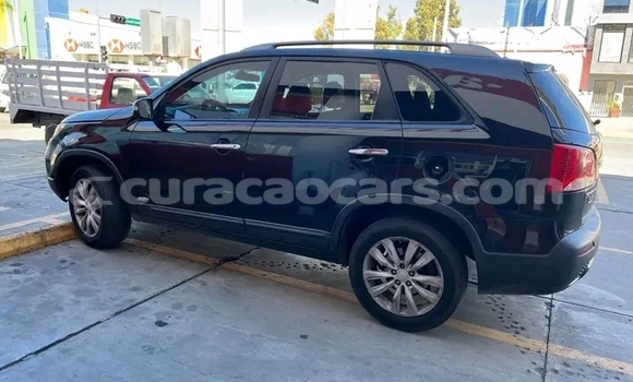 Buy Used Kia Cee'd Other Car in Sint Michiel Liber in Curacao Buy Used Kia Cee'd Other Car in Sint Michiel Liber in Curacao