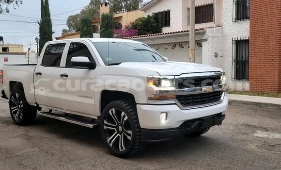 Buy Used Callaway C12 Other Car in Willemstad in Curacao Buy Used Callaway C12 Other Car in Willemstad in Curacao