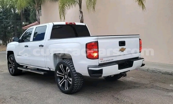 Buy Used Callaway C12 Other Car in Willemstad in Curacao Buy Used Callaway C12 Other Car in Willemstad in Curacao