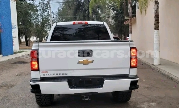 Buy Used Callaway C12 Other Car in Willemstad in Curacao Buy Used Callaway C12 Other Car in Willemstad in Curacao