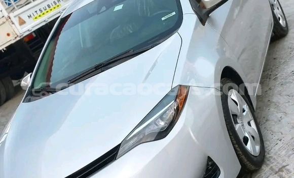 Buy Used Toyota Altezza Other Car in Lagún in Curacao Buy Used Toyota Altezza Other Car in Lagún in Curacao