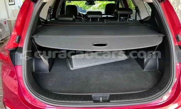 Buy Used FSO 132p Red Car in Sabana Westpunt in Curacao Buy Used FSO 132p Red Car in Sabana Westpunt in Curacao