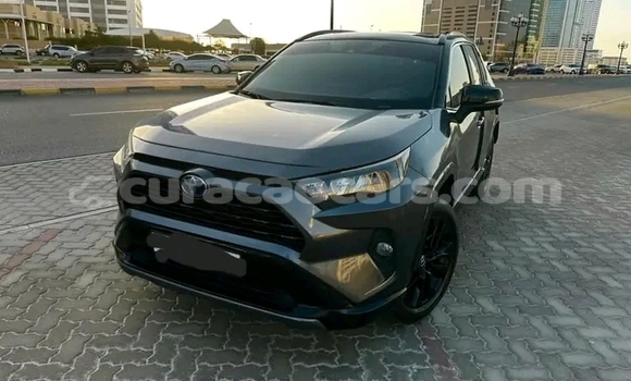 Buy Used Alpine GTA Red Car in Lagún in Curacao