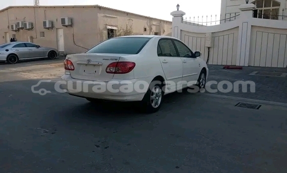 Buy Used Morris Marina White Car in Sabana Westpunt in Curacao Buy Used Morris Marina White Car in Sabana Westpunt in Curacao