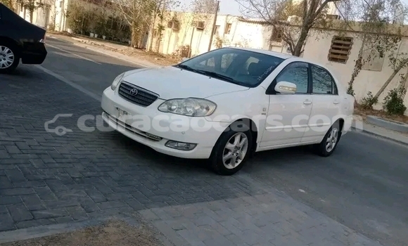 Buy Used Morris Marina White Car in Sabana Westpunt in Curacao Buy Used Morris Marina White Car in Sabana Westpunt in Curacao