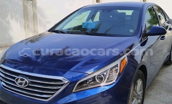 Buy Used Coggiola T Rex Other Car in Sabana Westpunt in Curacao Buy Used Coggiola T Rex Other Car in Sabana Westpunt in Curacao