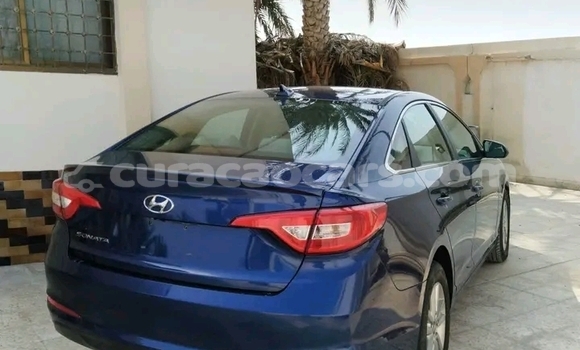 Buy Used Coggiola T Rex Other Car in Sabana Westpunt in Curacao Buy Used Coggiola T Rex Other Car in Sabana Westpunt in Curacao