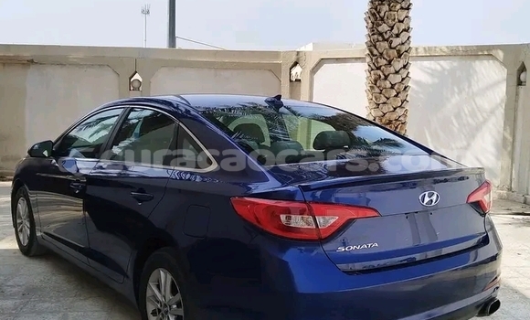 Buy Used Coggiola T Rex Other Car in Sabana Westpunt in Curacao Buy Used Coggiola T Rex Other Car in Sabana Westpunt in Curacao